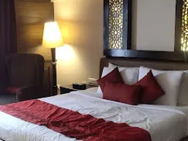 The-vintage-Gulmarg-premium-4-star-hotel-in-gulmarg-kashmir