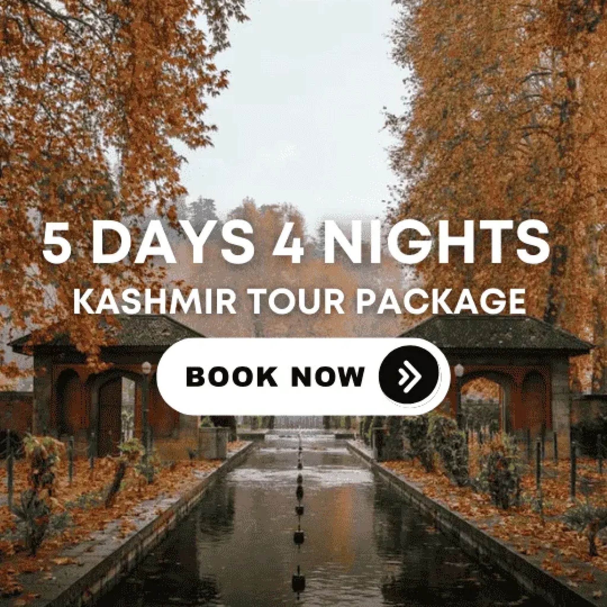Kashmir tour package , book kashmir tour package for couples , groups , family , honeymoon and more. Budget friendly kashmir tour package. Online kashmir tour package. Cheap kashmir tour package